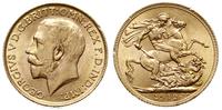 funt 1912, Londyn, złoto 7.98 g, piękny, Spink 3