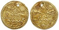 zeri mahbub AH 1203, złoto 2.25 g, przedziurawio