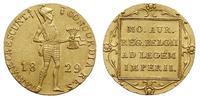 dukat 1829, typ niderlandzki, złoto 3.51 g, Bitk