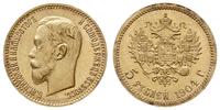 5 rubli 1904 АР, Petersburg, złoto 4.30 g, delik