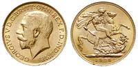 funt 1925, Londyn, złoto 7.98 g, wyśmienity