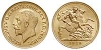funt 1929/SA, Pretoria, złoto 7.98 g, piękny