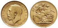 1 funt 1926/SA, Pretoria, złoto 7.98 g, Spink 40