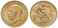 1 funt 1931/SA, Pretoria, złoto 7.99 g, Spink 40