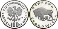 100 złotych 1977, Warszawa, ŻUBR, Parchimowicz 2