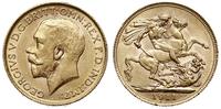 1 funt 1911, Londyn, złoto 7.98 g, Spink 3996