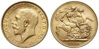 1 funt 1918/I, Bombaj, złoto 7.98 g, Spink 3998