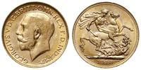 1 funt 1918/P, Perth, złoto 7.99 g, Spink 4001