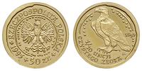 50 złotych 1995, Warszawa, Orzeł Bielik, złoto "