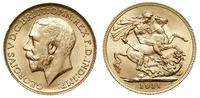 funt 1911/C, Ottawa, złoto 8.00 g, rzadkie