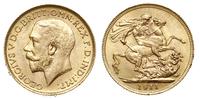 1 funt 1911, Londyn, złoto 7.98g