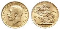 1 funt 1914, Londyn, złoto 7.98g