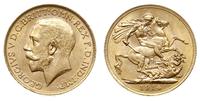 1 funt 1914/P, Perth, złoto 7.98g