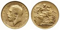 1 funt 1918/M, Melbourne, złoto 7.98g, Spink 399