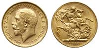 1 funt 1913/M, Melbourne, złoto 7.98g, Spink 399