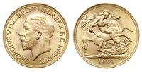 1 funt 1931/SA, Pretoria, złoto 7.99g