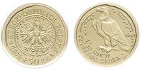 50 złotych 2004, Warszawa, Orzeł Bielik, złoto 3