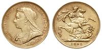 1 funt 1895/M, Melbourne, złoto 7.97 g, Spink 38
