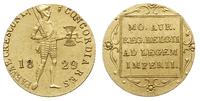 dukat 1829, Utrecht, złoto 3.52 g