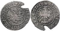 półgrosz 1523, Wilno, moneta polakierowana z nat