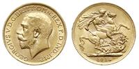 funt 1914, Londyn, złoto 7.97 g, Spink 3996