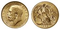 1 funt 1925 SA, Pretoria, złoto 7.98 g, piękne, 