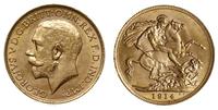 1 funt 1914 P, Perth, złoto 7.98 g, piękne, Fr. 
