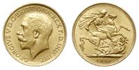 1 funt  1918/I, Bombaj, złoto 7.97 g, Spink 3998