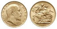 1 funt  1909, Londyn, złoto 7.99 g, Spink 3969