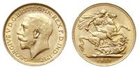 1 funt 1911, Londyn, złoto 7.98 g., bardzo ładny
