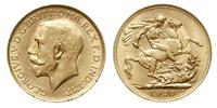 1 funt 1920/P, Perth, złoto 7.98 g, Spink 4001