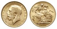 1 funt 1928/SA, Pretoria, złoto 7.99 g, Spink 40