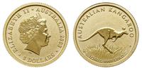 5 dolarów 2003, Perth, Kangur Australijski, złot