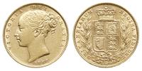 1 funt 1882/M, Melburne, złoto 7.97 g, Spink 385