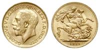 1 funt 1911, Londyn, złoto 7.99 g, Spink 3996