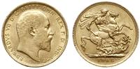 funt 1904/S, Sydney, złoto 7.99 g, piękne, Spink