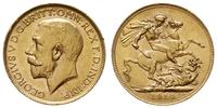 1 funt 1914 P, Perth, złoto 7.98 g, Fr. 40, S. 4
