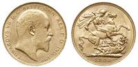 1 funt 1908/P, Perth, złoto 7.99 g, Spink 3972