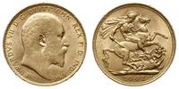 funt 1908, Londyn, złoto 7.98 g, Spink 3969