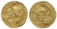 dukat 1631, Geldria, złoto 3.45 g, Purmer Ge46, 