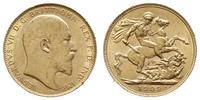 funt 1909, London, złoto 7.97 g, Spink 3969