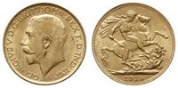 funt 1914/M, Melbourne, złoto 7.98 g, Spink 3999