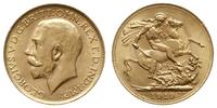 funt 1919 P, Perth, złoto 7.98 g, piękny, Spink 