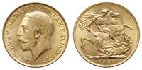 funt 1928 SA, Pretoria, złoto 7.98 g, piękny, Sp