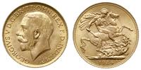 funt 1914, Londyn, złoto 7.99 g, piękny, Spink 3