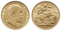 funt 1908, Londyn, złoto 7.98 g, piękny, Spink 3