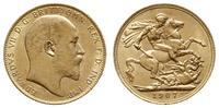 funt 1907, Londyn, złoto 7.98 g, piękny, Spink 3