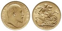 funt 1907, Londyn, złoto 7.99 g, piękny, Spink 3