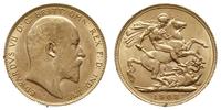 funt 1908, Londyn, złoto 7.99 g, piękny, Spink 3