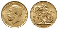funt 1911 S, Sydney, złoto 7.98 g, piękny, Spink